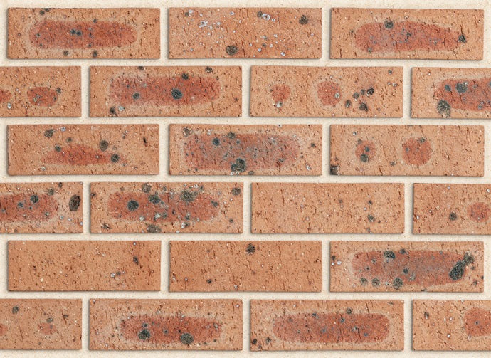 PGH Bricks Townhouse - DORSET - per pallet of 380