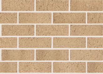 Austral Bricks Everyday Life - ENGAGE - per pallet of 400